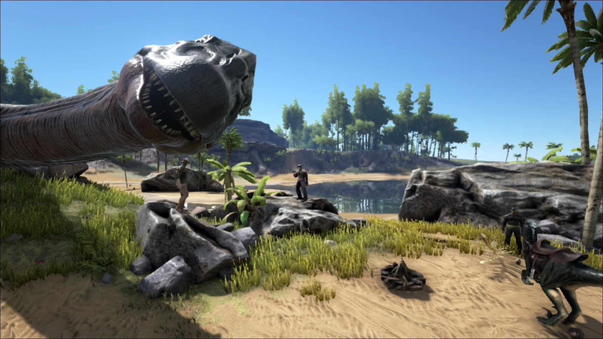 Ark_photobomb