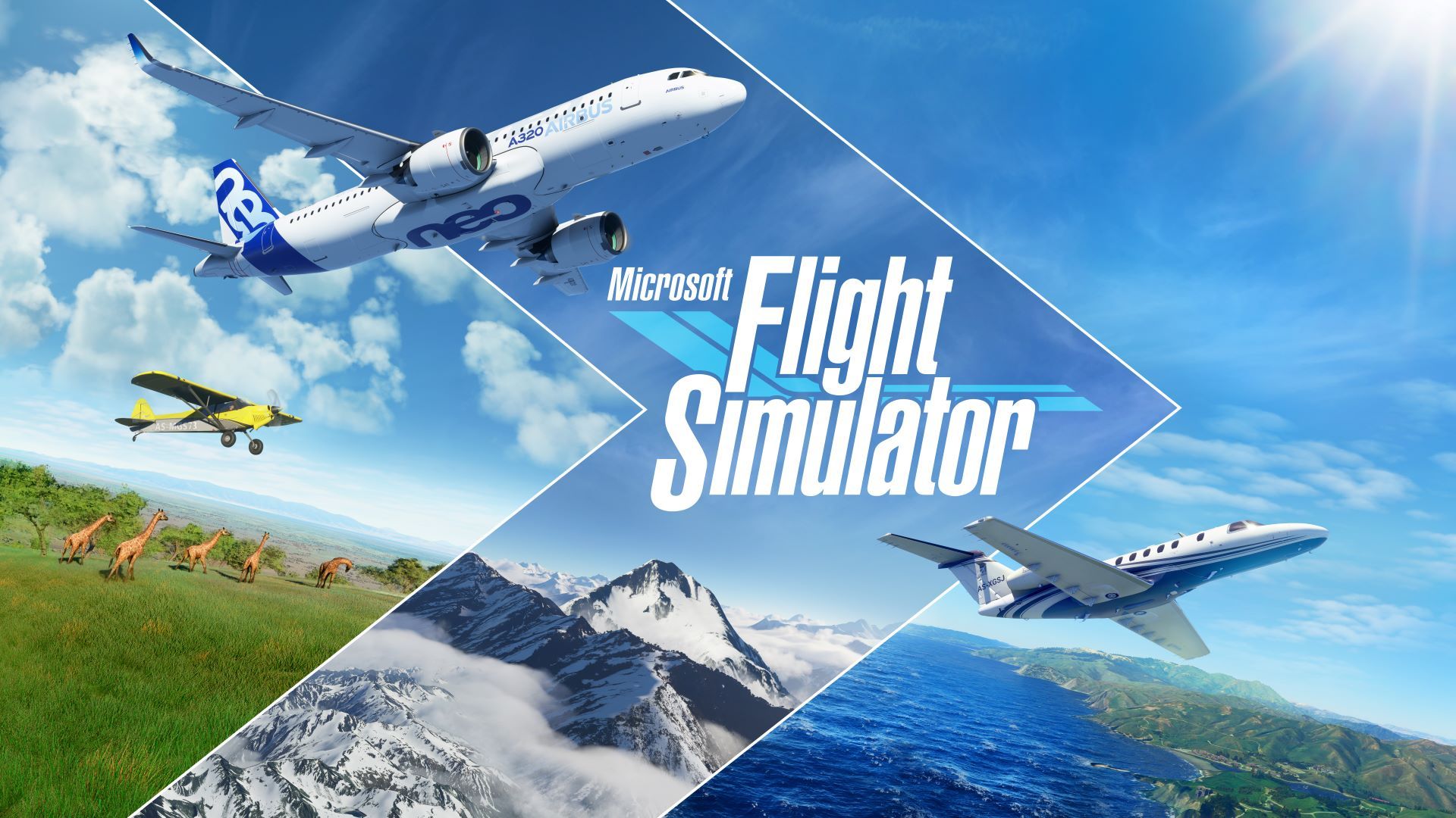 Microsoft-Flight-Simulator