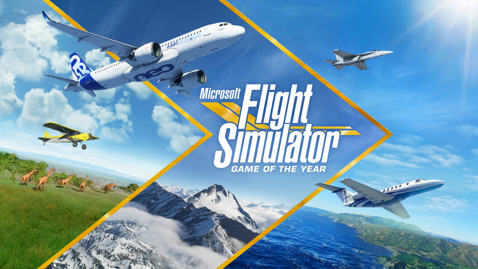 MicrosoftFlightSimulator_GotY